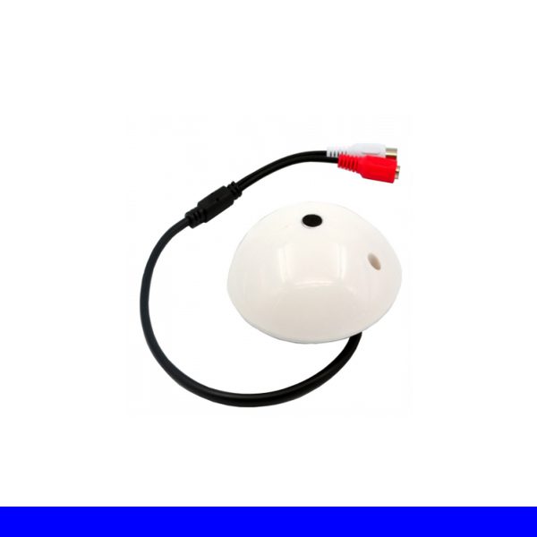 mic